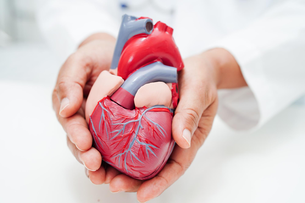 EuroPCR 2025 – Angioplastia en enfermedad multivaso en el shock cardiogénico: un subestudio del DanGer Shock